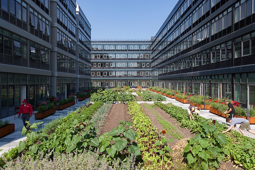 urby-first-urban-farm-in-new-york-city